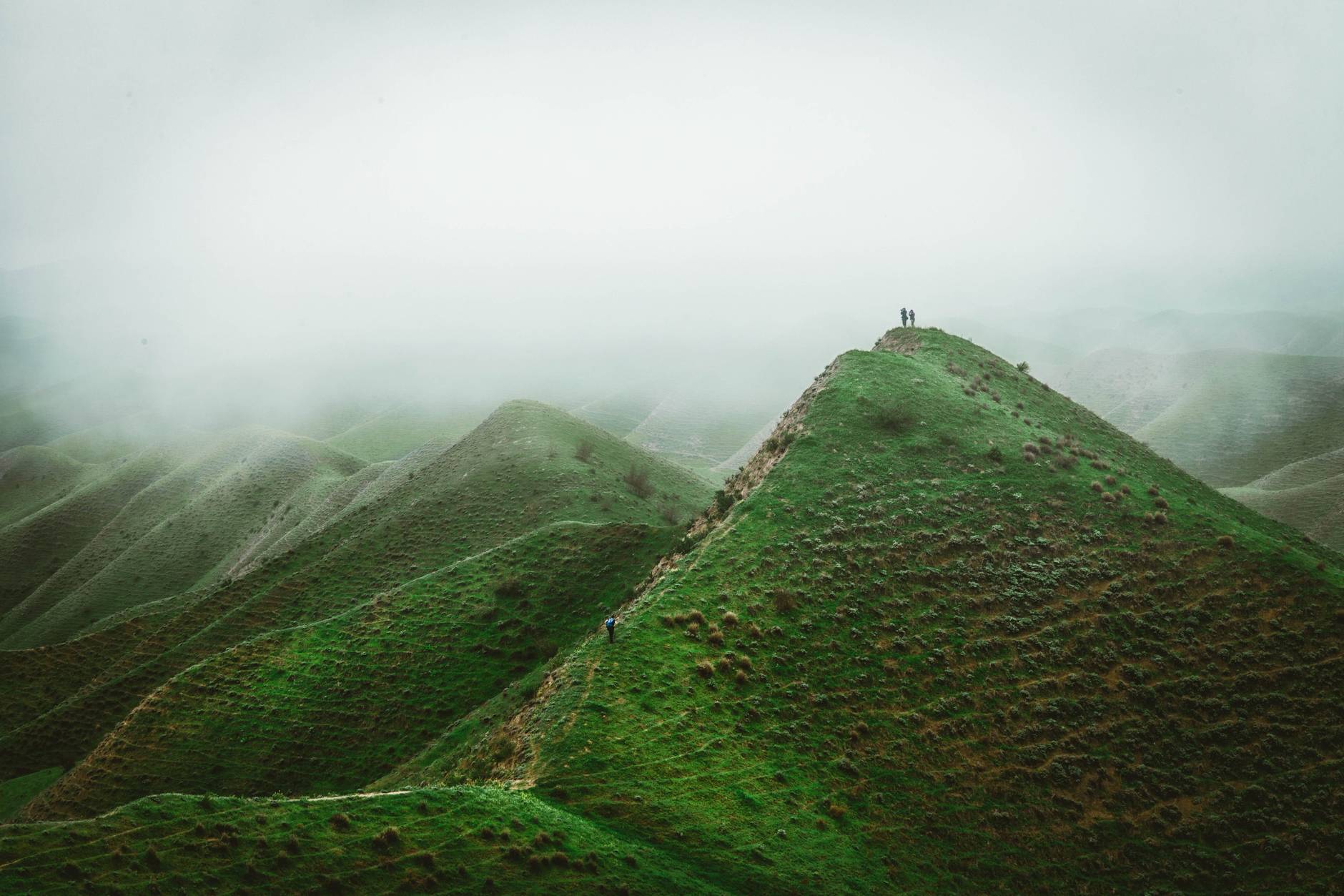 green mountainous terrain in dense fog